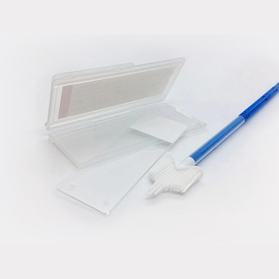 Microscope slide & Cervical Brush & Slide mailer