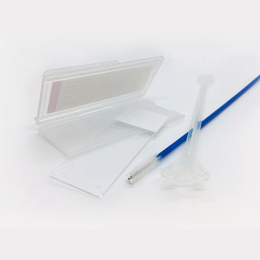 Microscope slide, Cytology-brush, Ayres spatula, Slide mailer